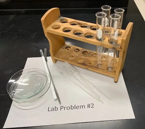 2019 USNCO Part III Problem 2 setup: test tubes in wooden rack with unknown solutions, watch glass, pipets for polymer absorption experiment