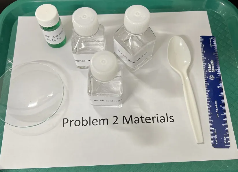 2023 USNCO Part III Problem 2 materials: sodium alginate solution (green), CaCl₂, MgCl₂, KCl bottles, watch glass, spoon, ruler